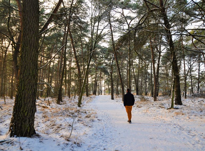 Kalmthoutse Heide - wandelen op GR-paden