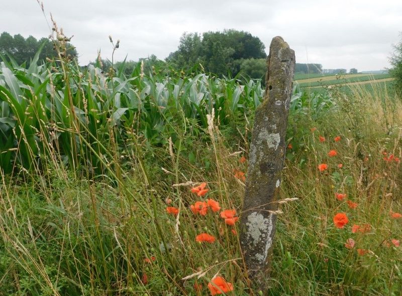 Pajottenland - wandelen langs GR-paden
