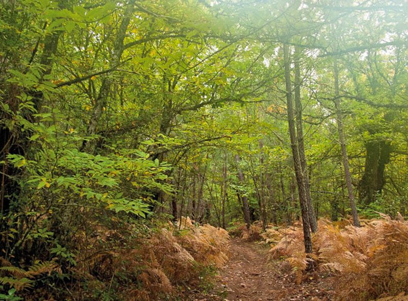 Wandelen Sierra de Aracena