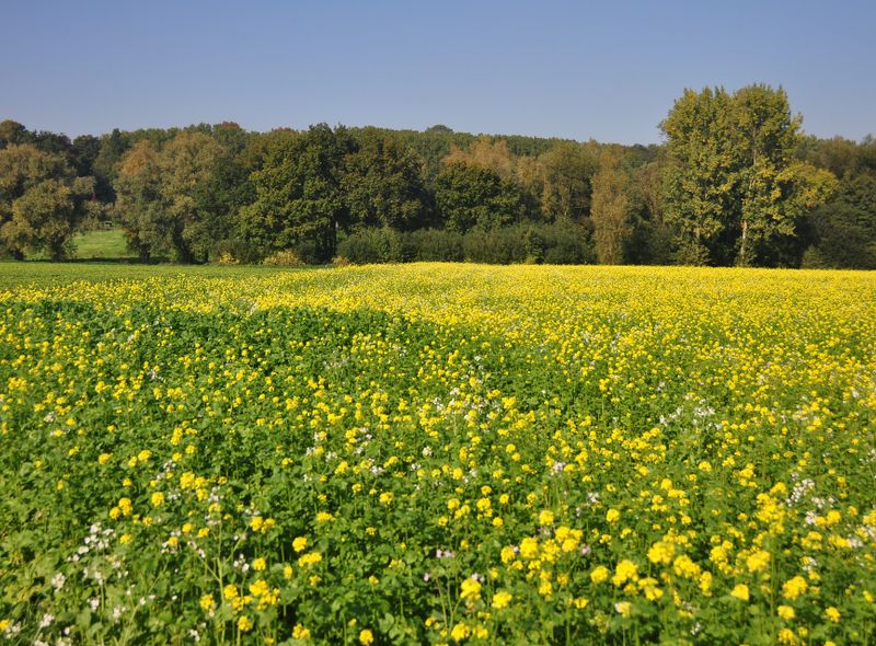Zwalm & Vlaamse Ardennen - wandelen langs GR-paden