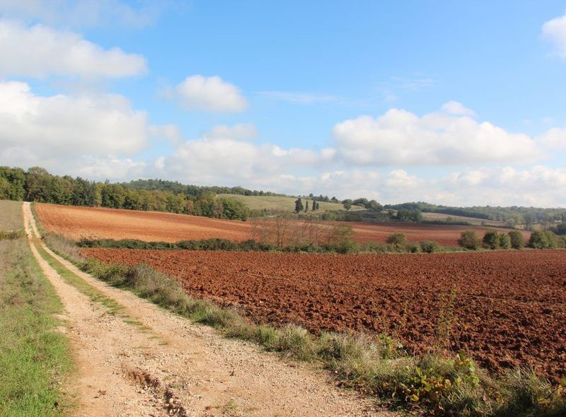 Toscane Chianti