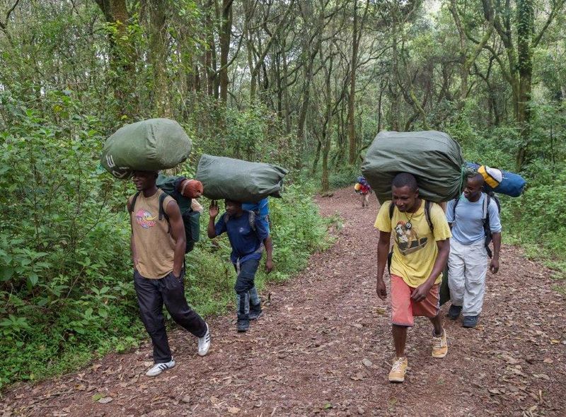 Beklimming Kilimanjaro Tanzania beklimming Afrika 