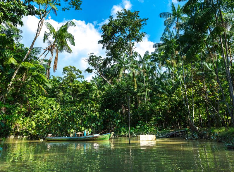 groepsreis Brazilië Amazone