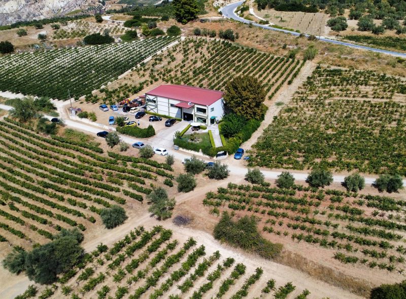 Groepsreis Griekenland Peleponnesos Comfort 