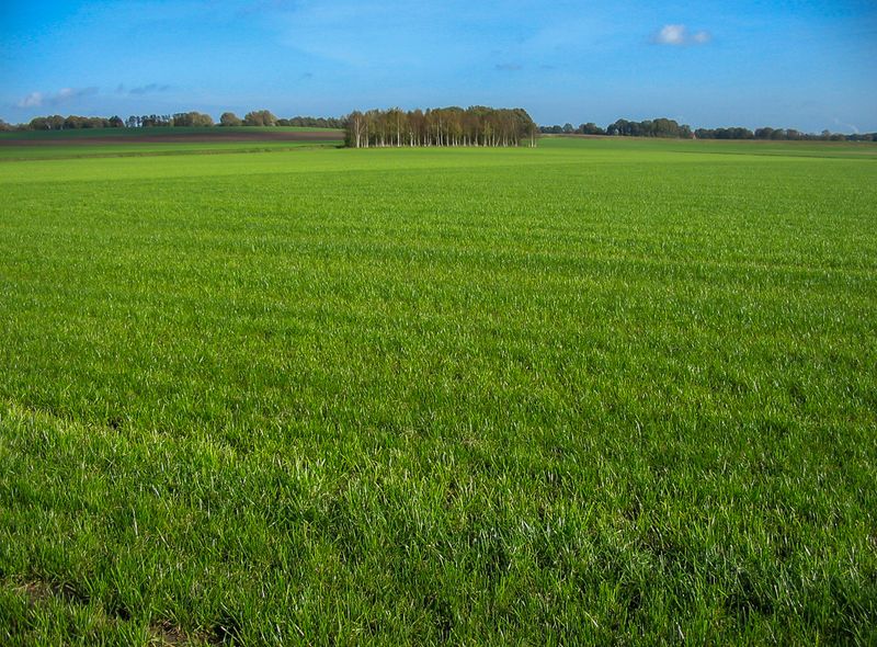 wandelreis Nederland Noaberpad