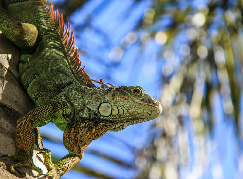 Groepsreis Nicaragua