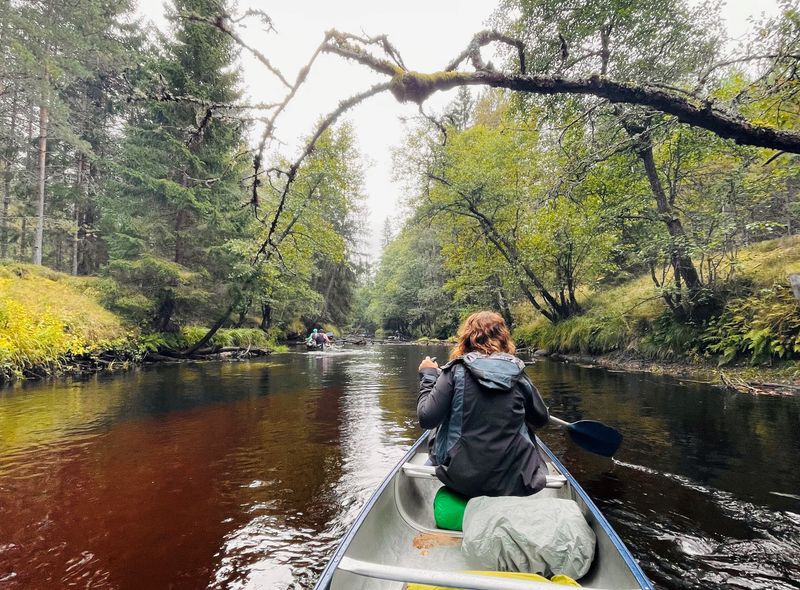 Groepsreis Zweden en Denemarken