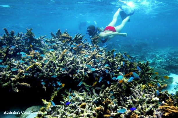 Ningaloo Reef