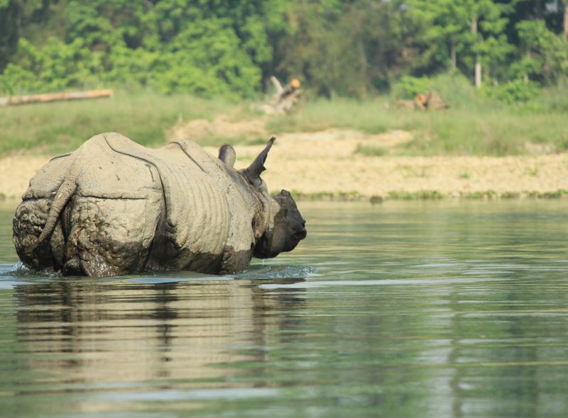 Nepal groepsreis
