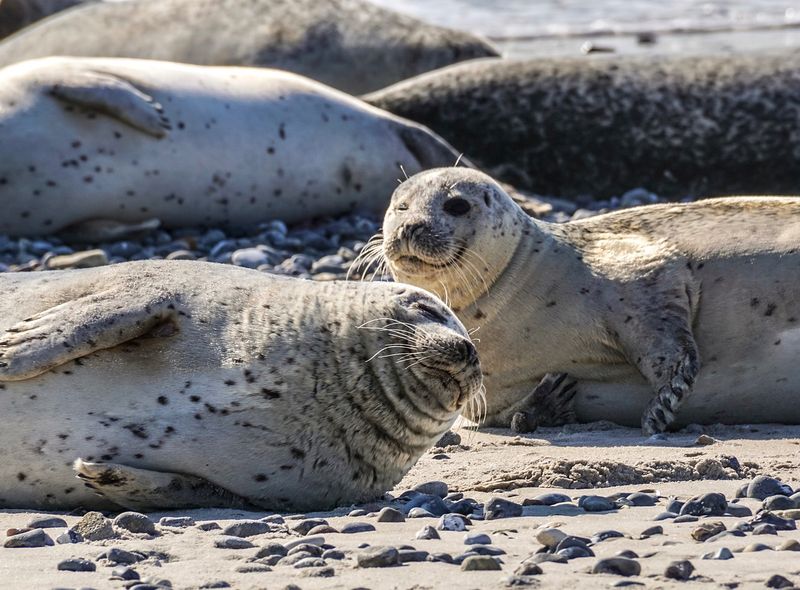 Groepsreis Noord-Ierland