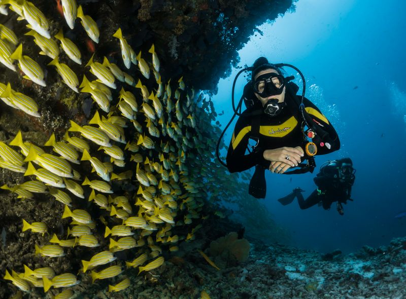 Groepsreis Guatemala, Honduras & El Salvador Surf 2 Dive