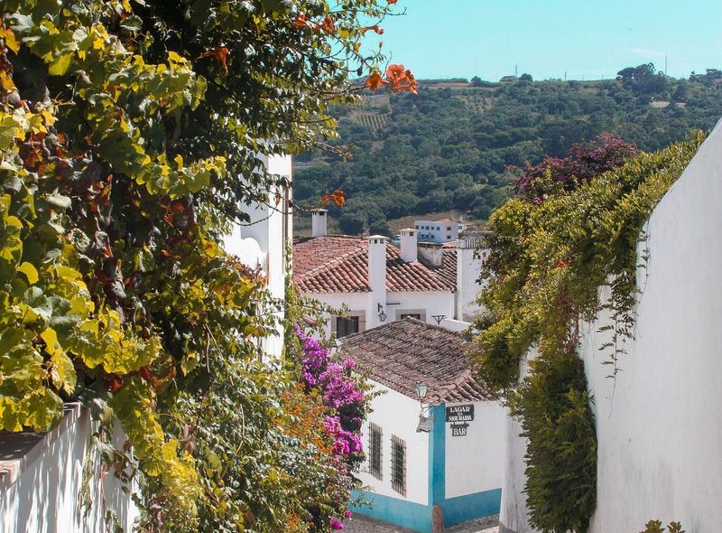 Serra Do Monchique