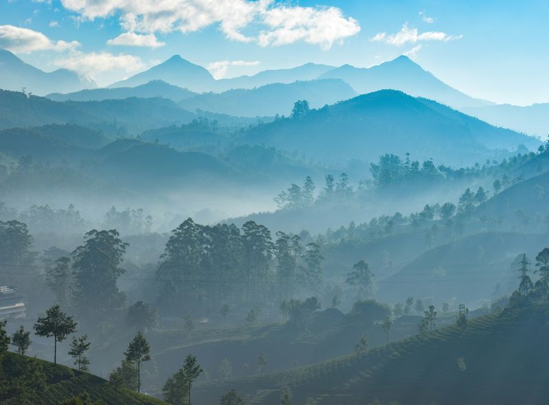 Groepsreis India Munnar hill station