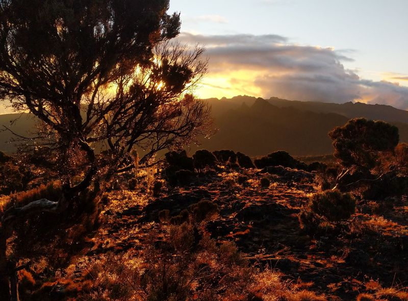 Tanzania Kilimanjaro Machamve 