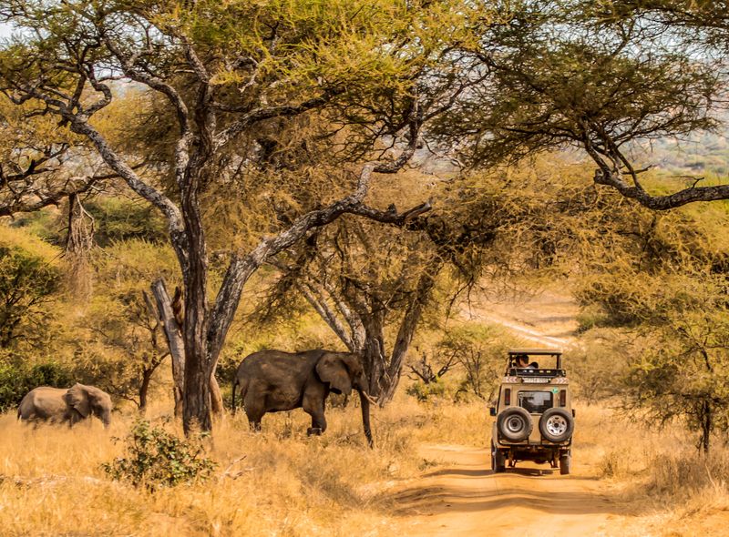 Tanzania