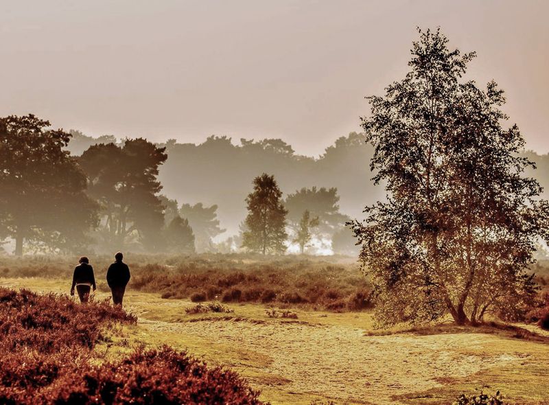 wandelreis Nederland Veluwe