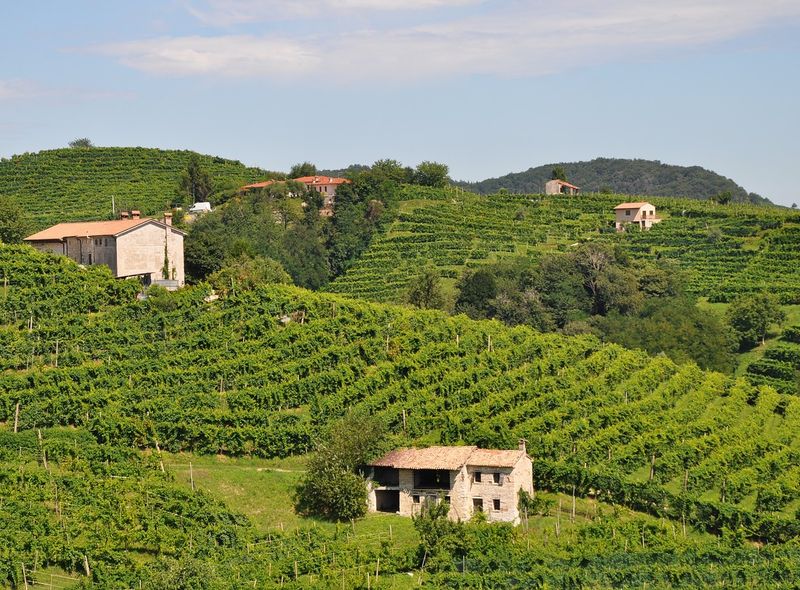 Prosecco - Pixabay