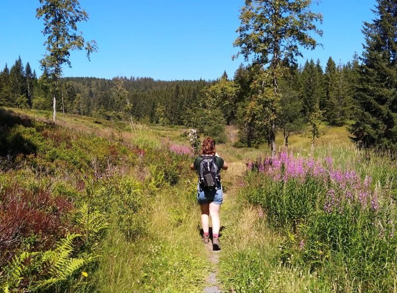 Wandelvakantie in het Zwarte Woud