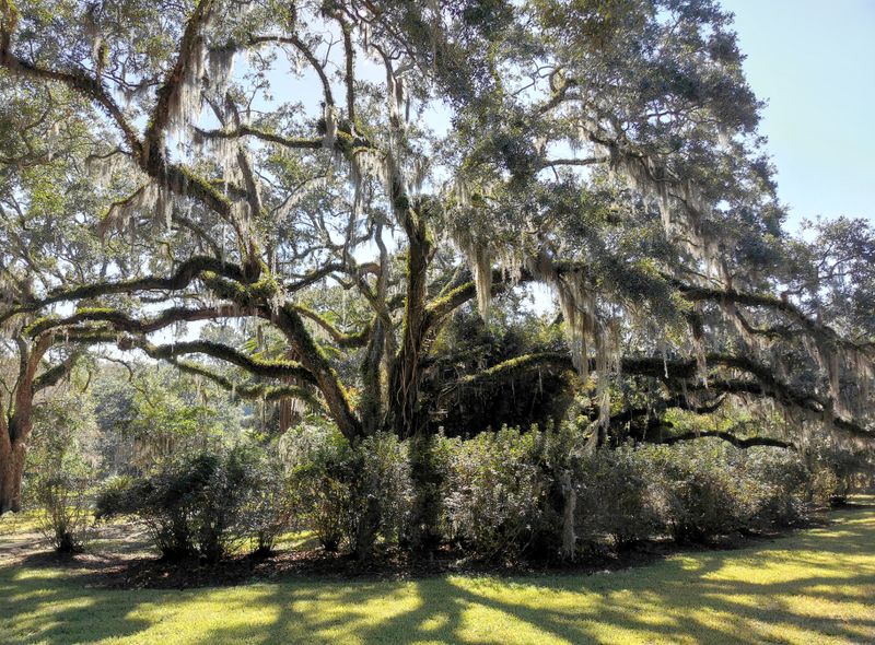 Avery Island