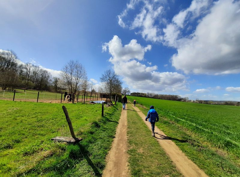 campervan hageland