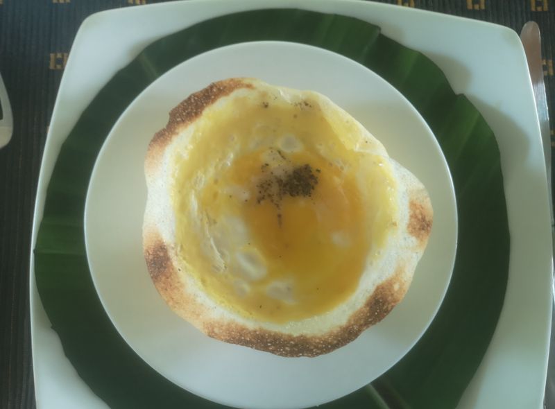 Egg hopper