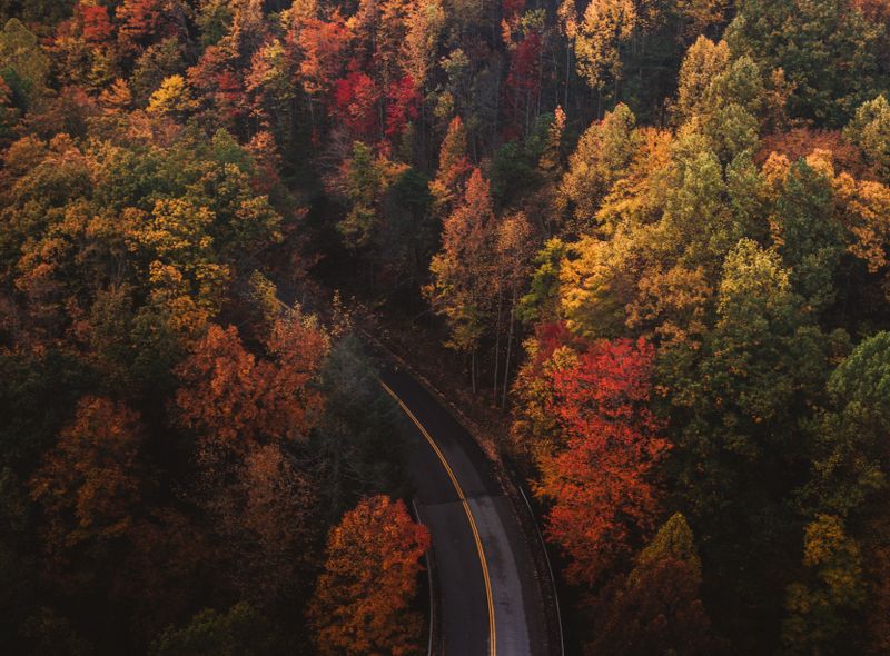 Indian Summer USA