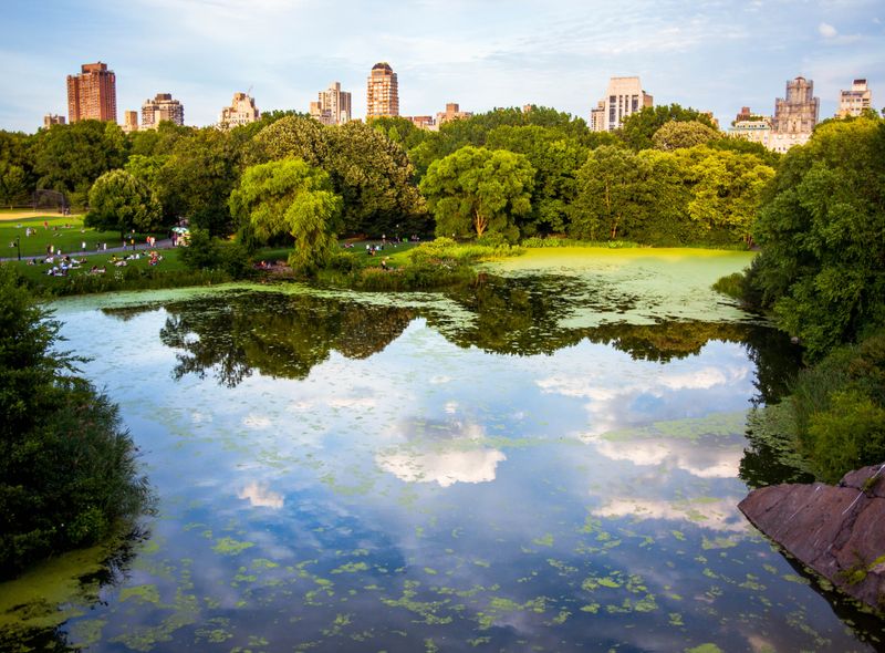 New York Hector arguello canals unsplash