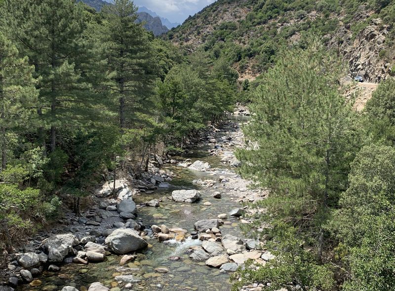 corsica gorges de l'asco