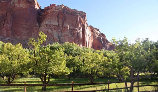 Fruita
