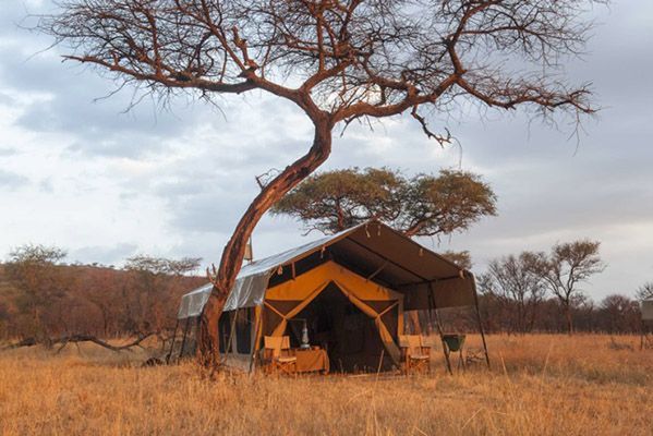 begeleide rondreis tanzania