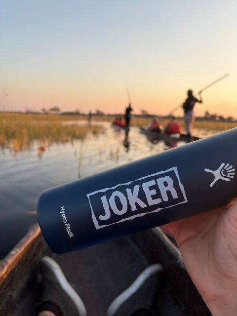 okavango delta mokoro joker