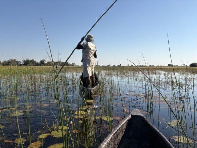 okavango mokoro