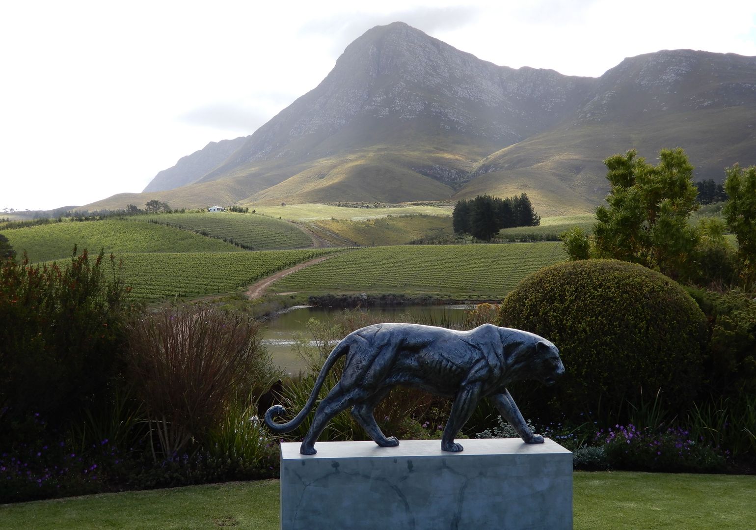 Stellenbosch, Zuid-Afrika