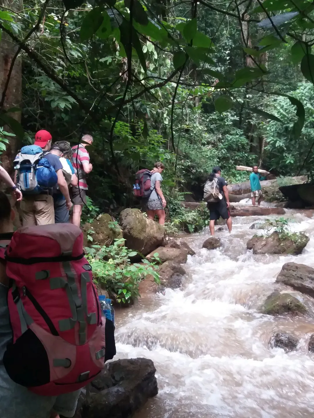 Jungletrekking Thailand