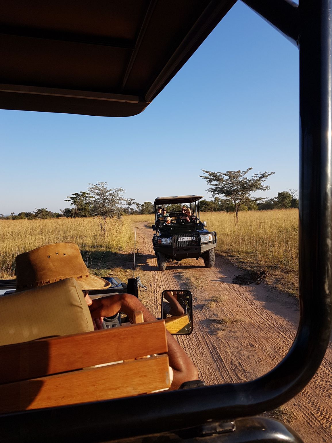 reis Zuid-Afrika safari wildlife jeep