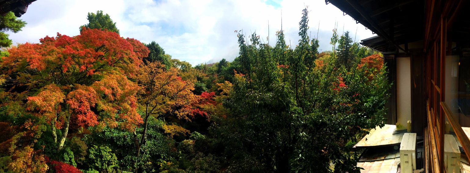 Japan Ryokan Natuur Hakone