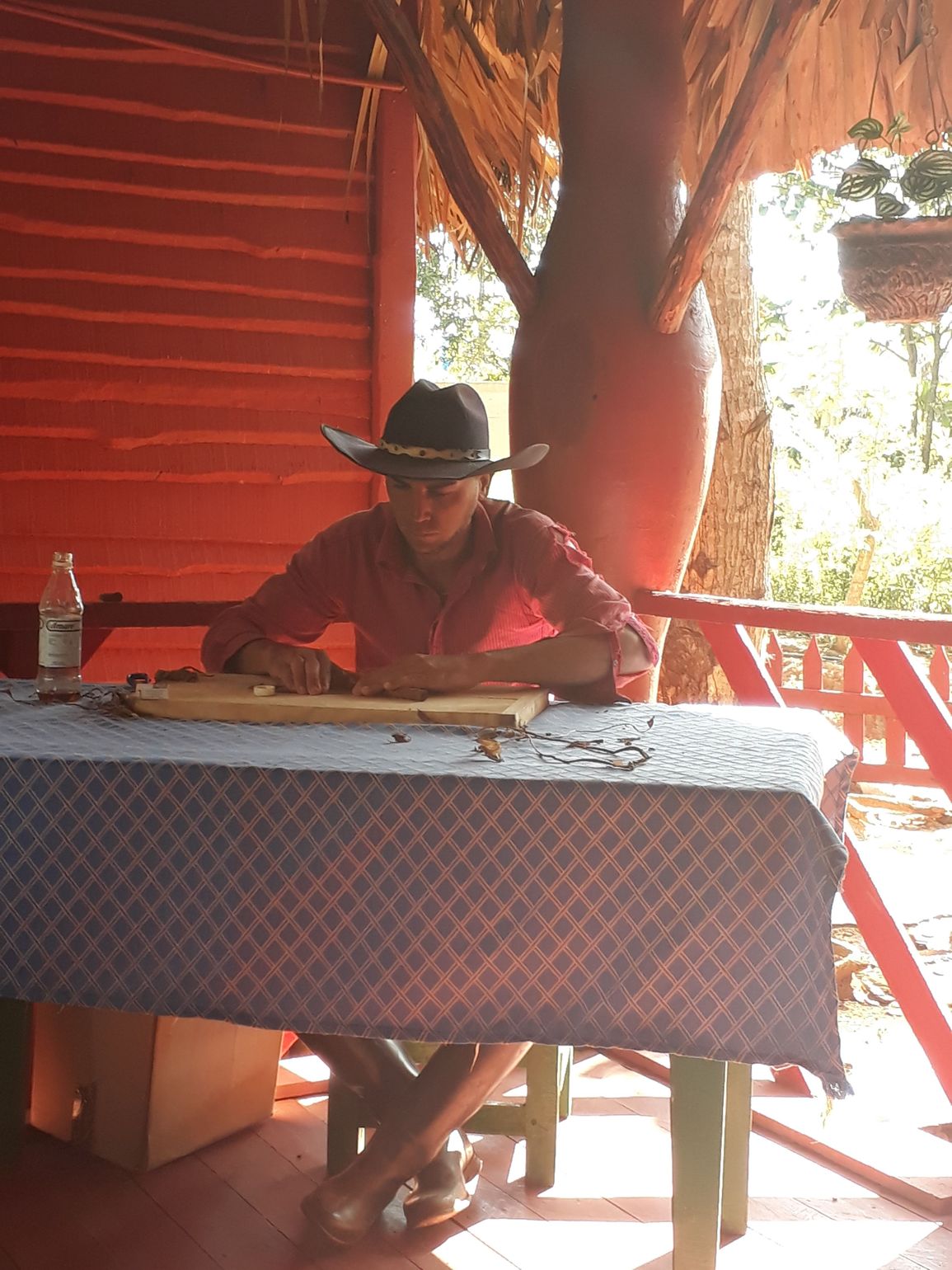 Intrepid Cuba