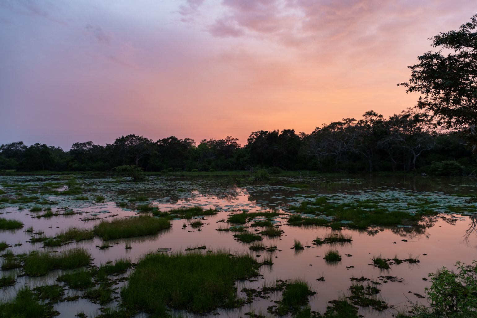 Wilpattu sunset, safari Sri Lanka 