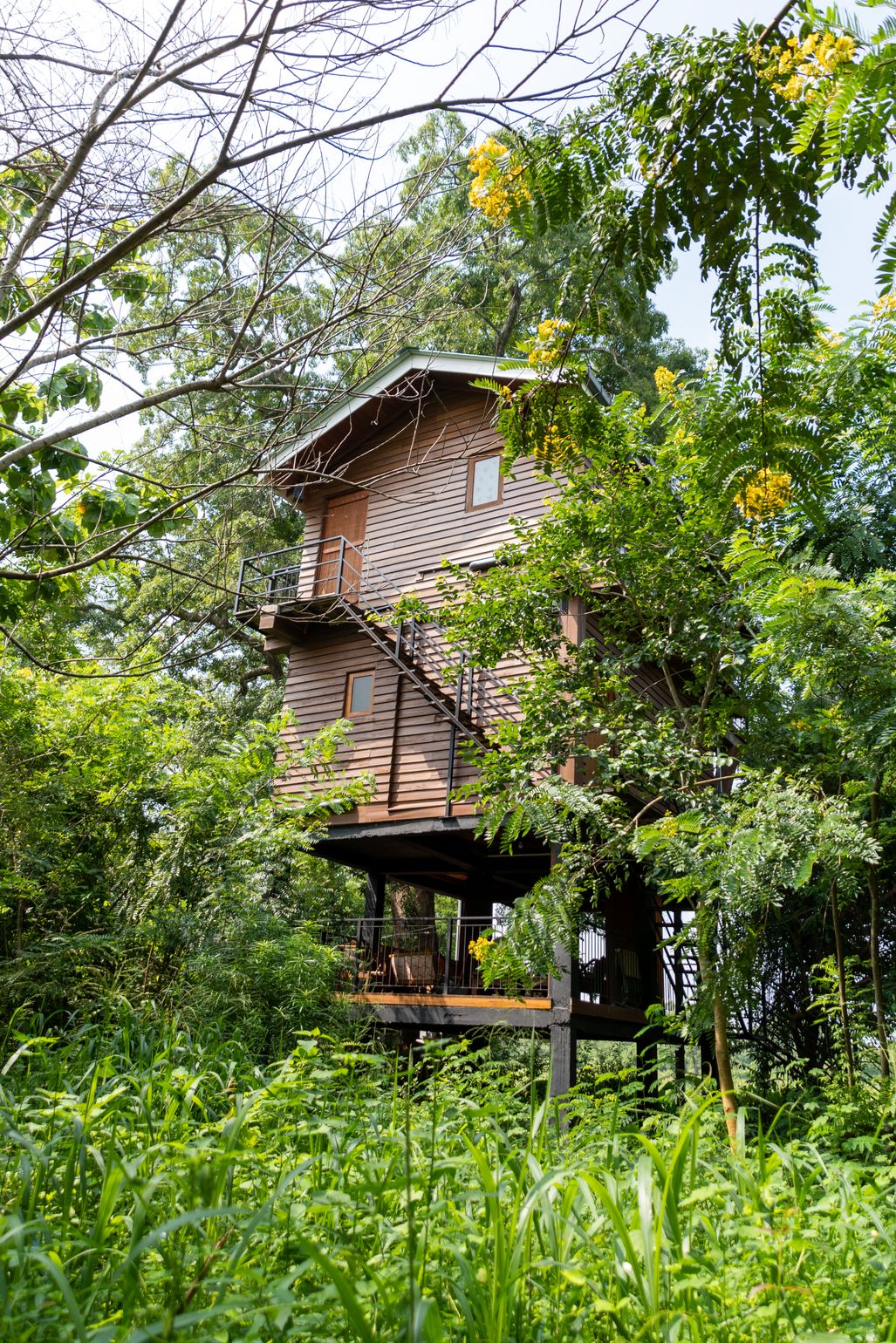 Sri Lanka Boomhut Wilpattu tuin