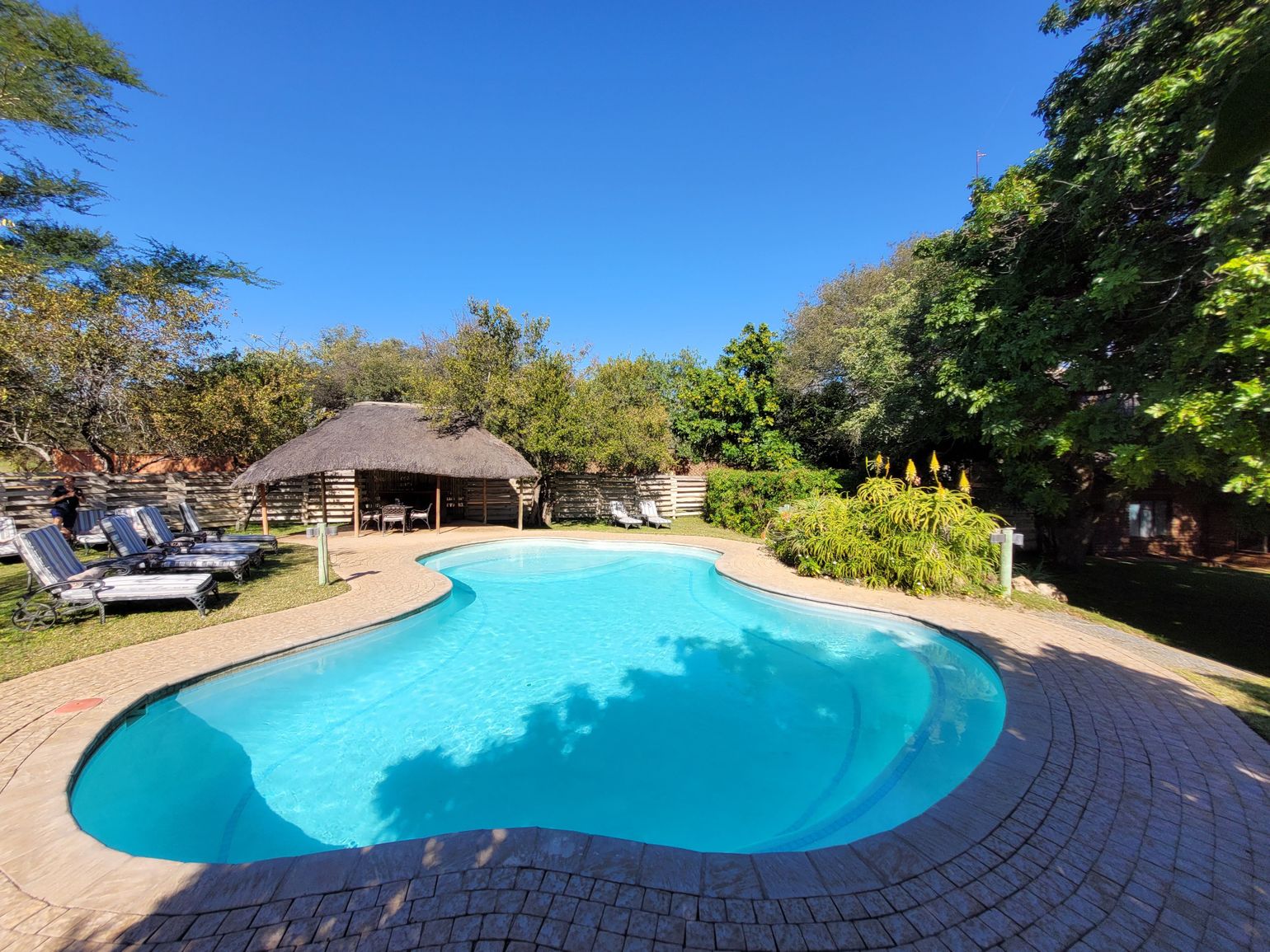 Zwembad prive wildpark