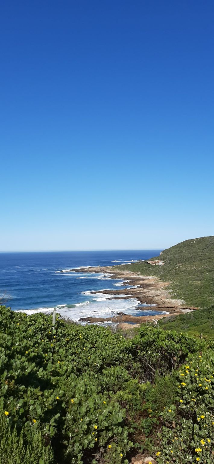 Uitzicht over de baai
