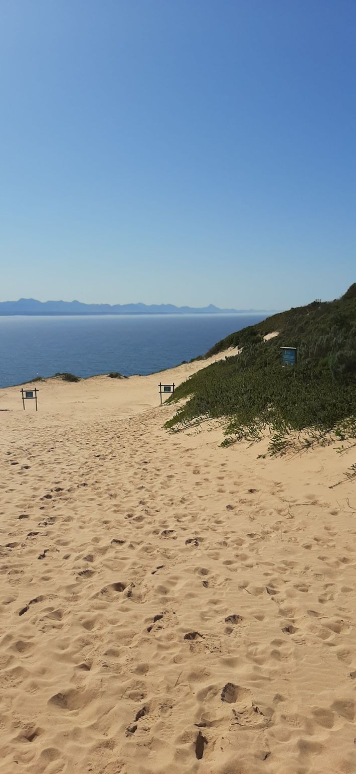 Wandelen langs het strand