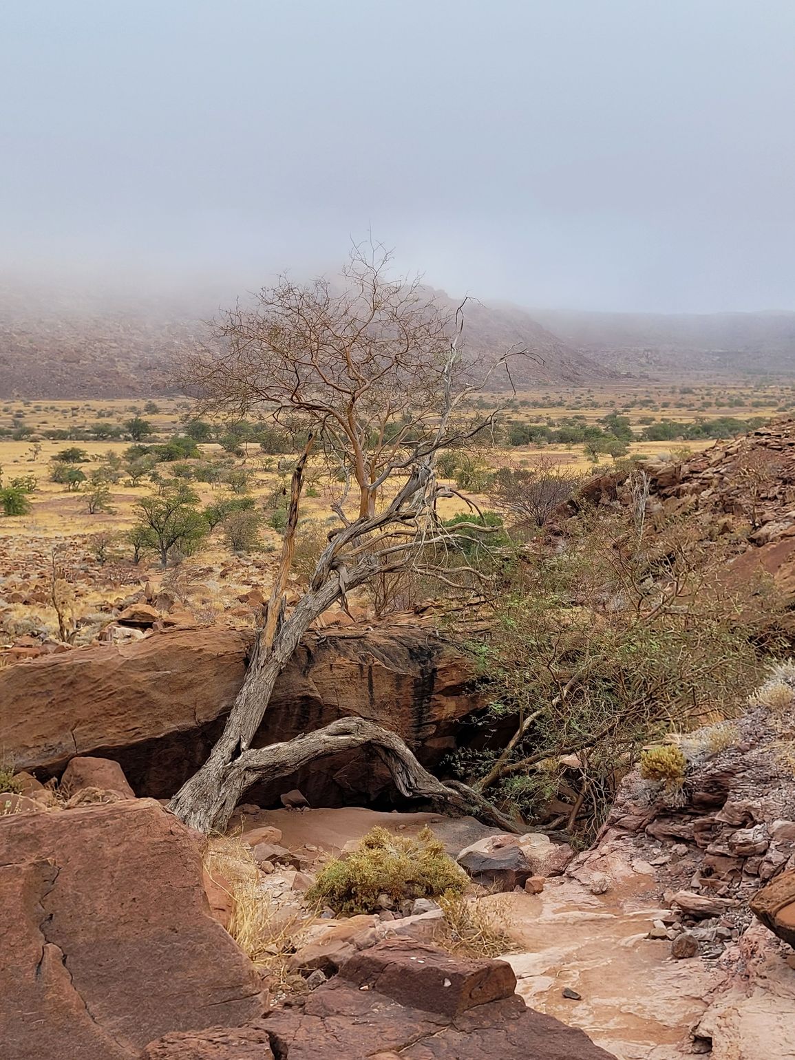 damaraland uitzicht rotstekeningen