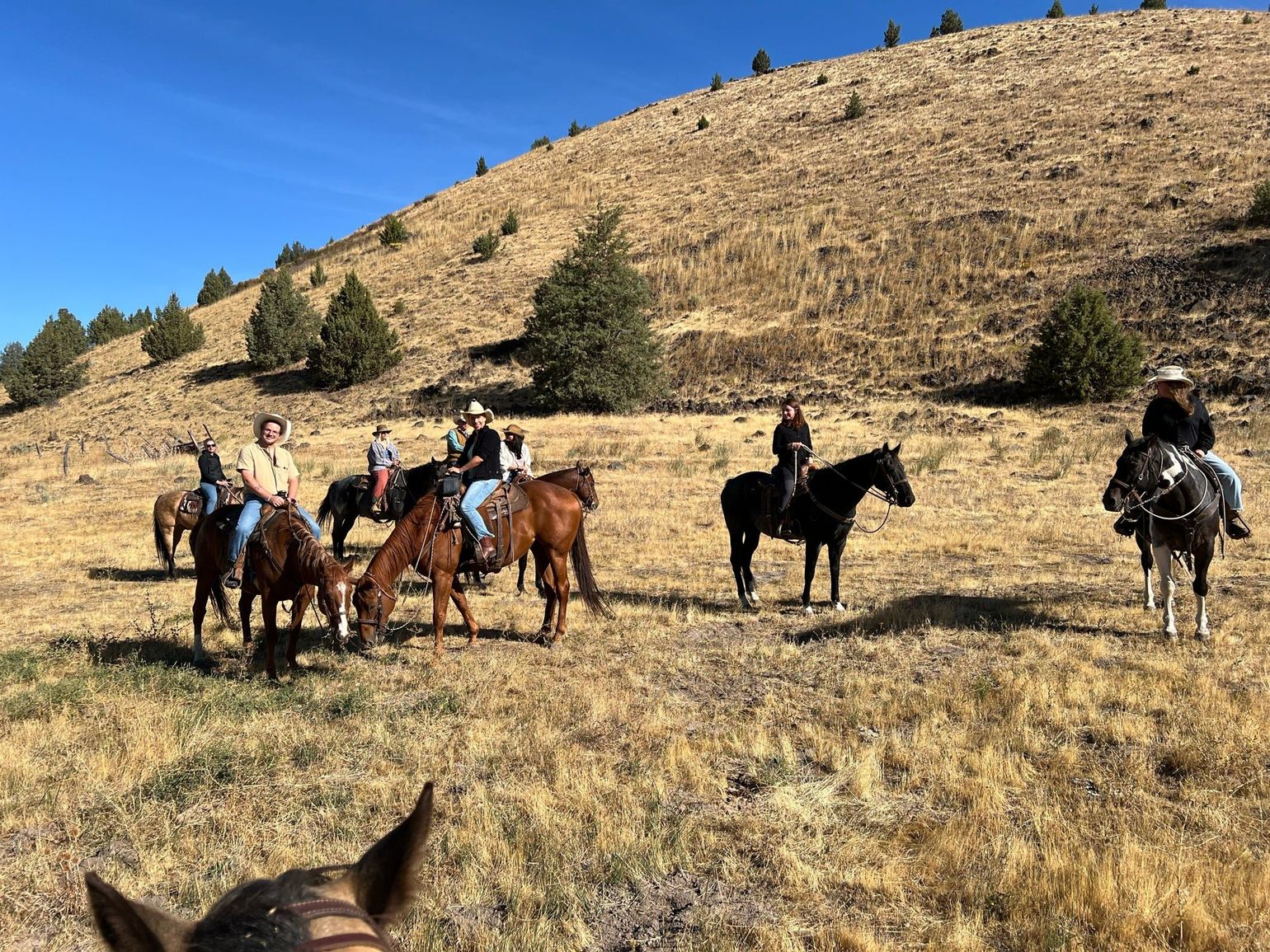 Paardrijden op Wilson Ranch in Oregon