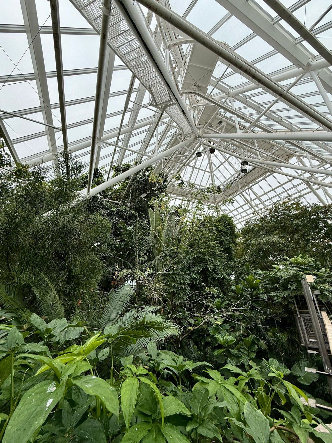 piramide van moody gardens