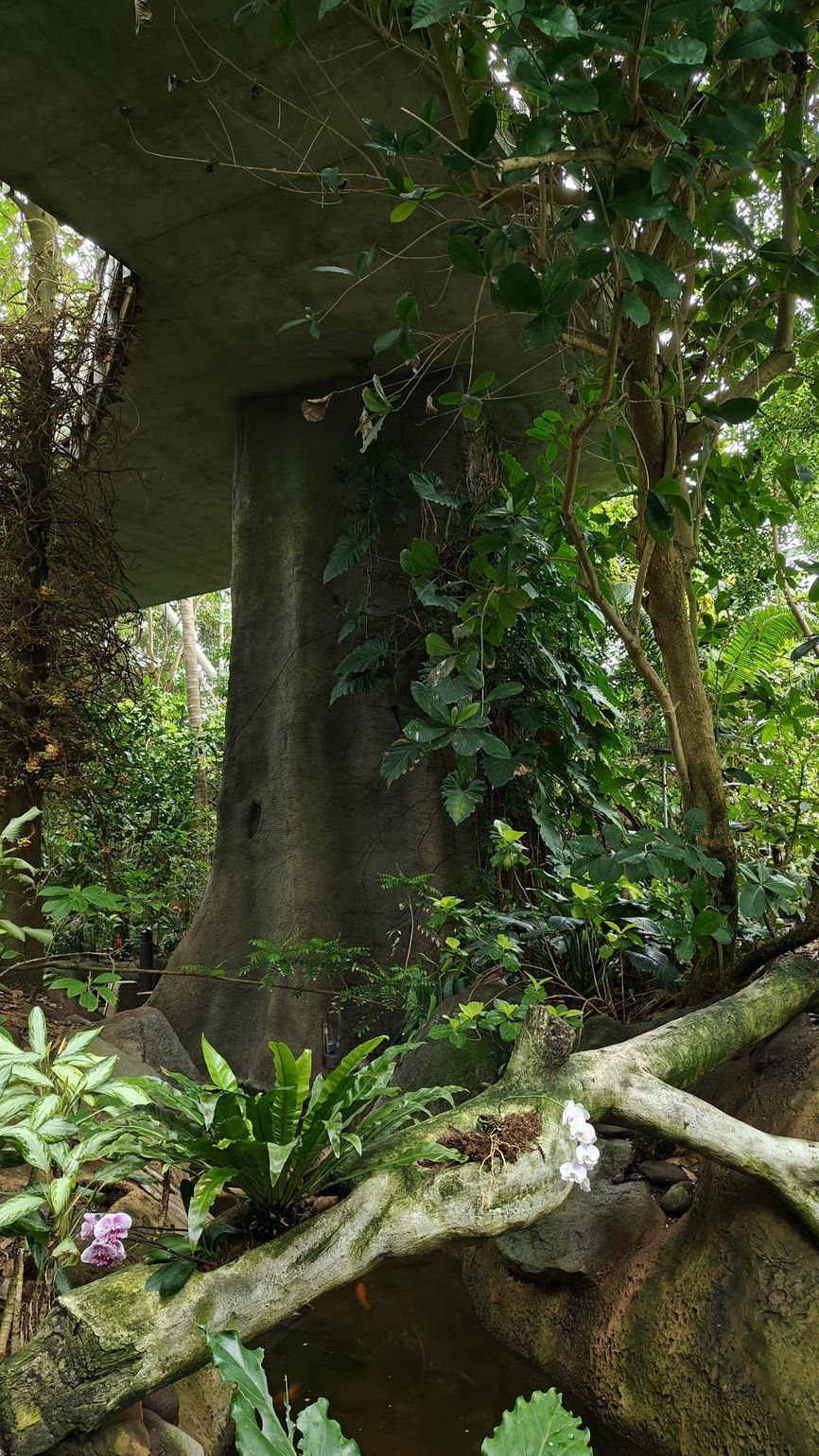 moody gardens galveston