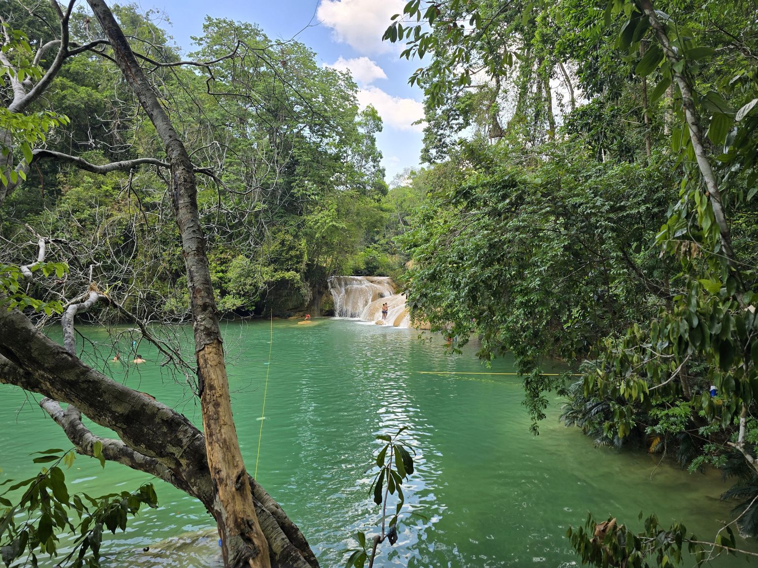 jungle met waterval in mexico