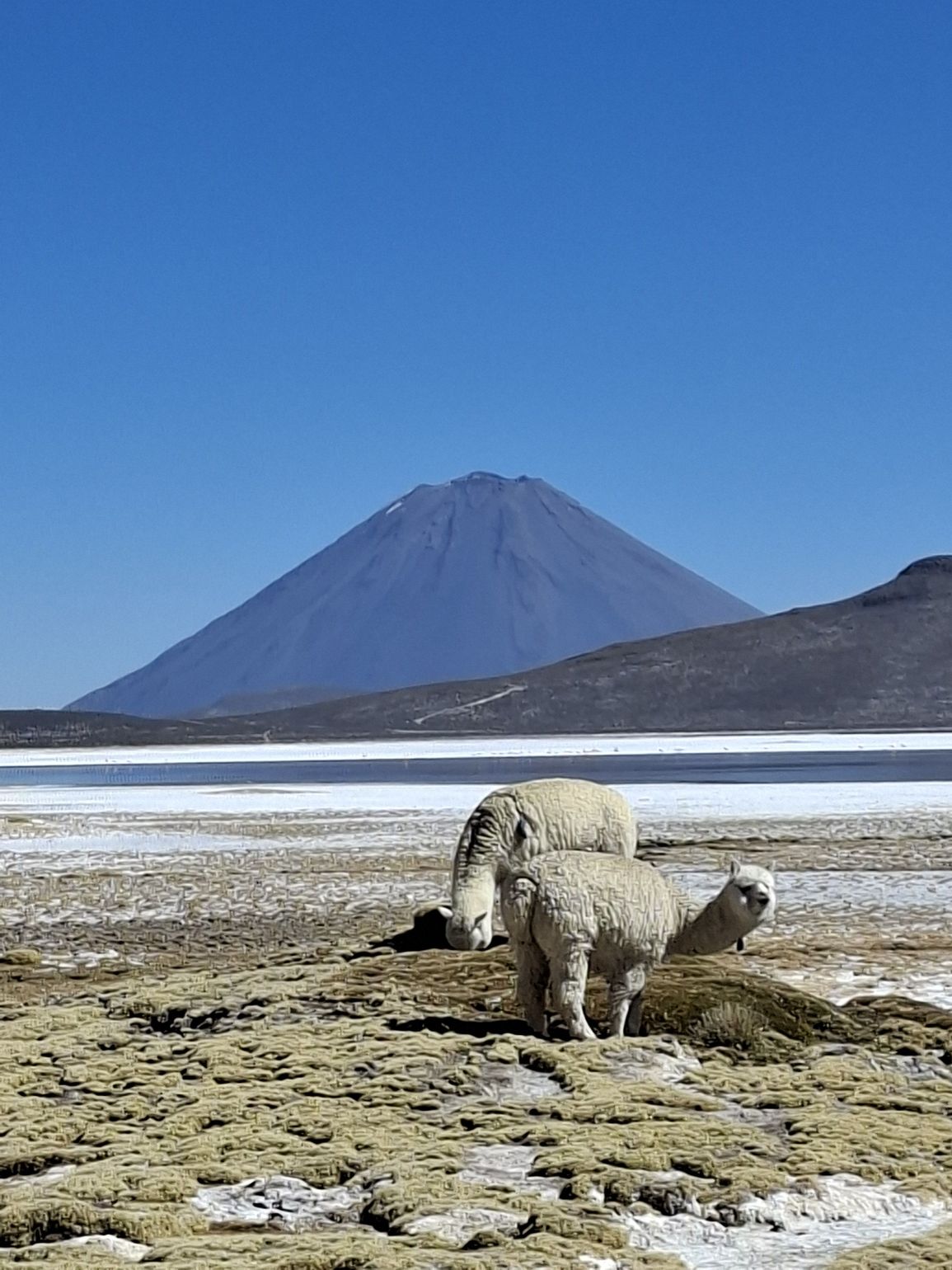 Salinas Arequipa excursie