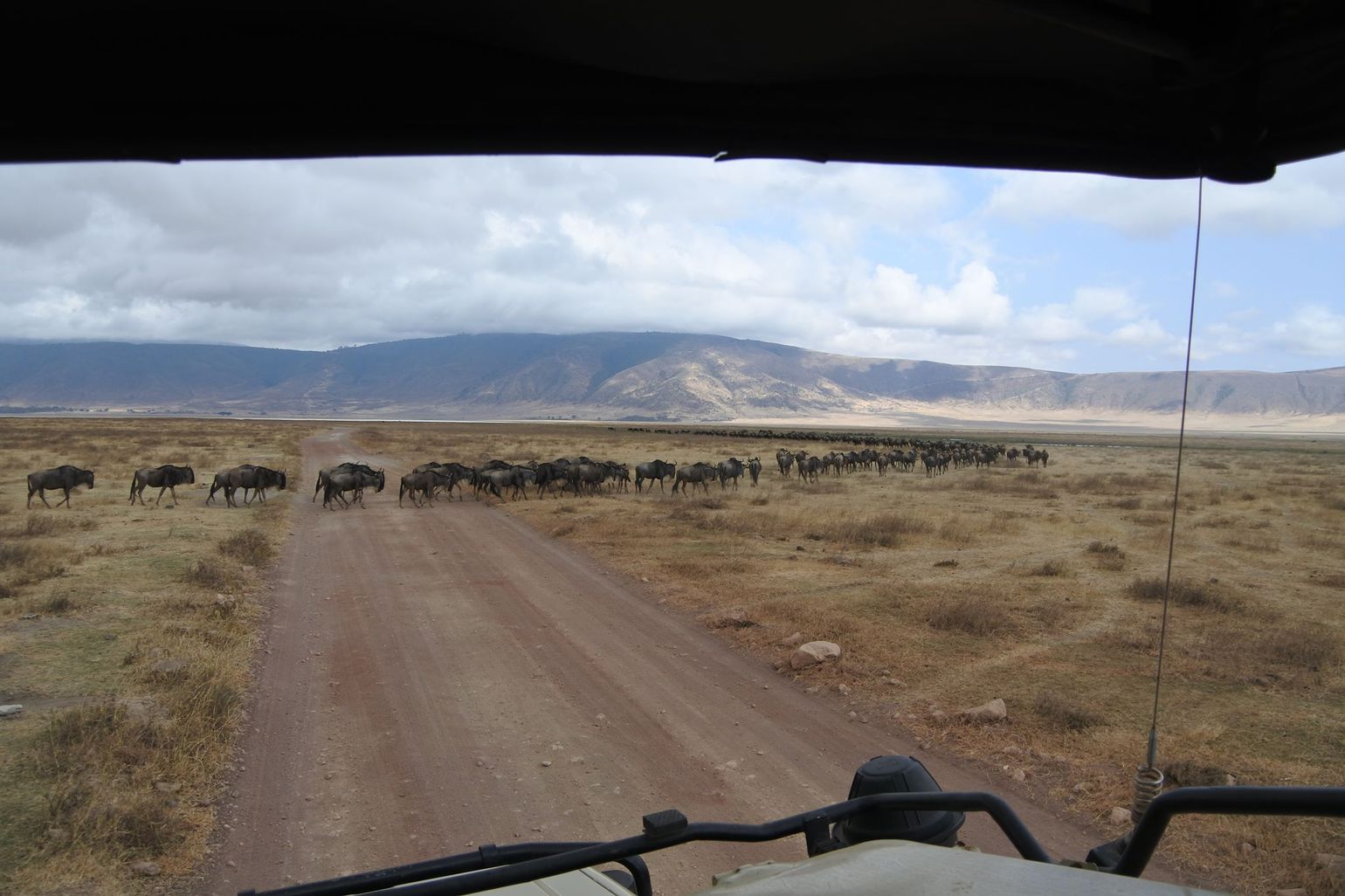 Ngorongoro Tanzania jeepsafari