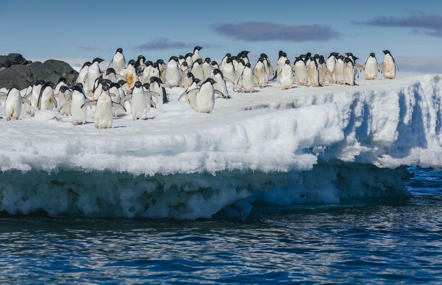 Groepsreis Antarctica